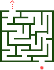 Maze